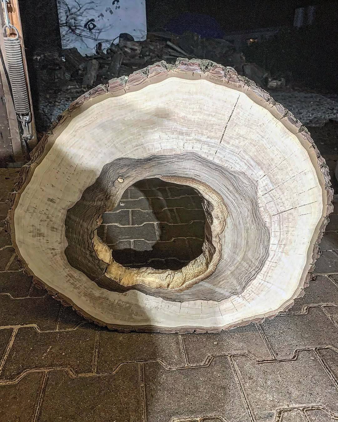 Große Baumscheibe mit grauem Epoxidkern