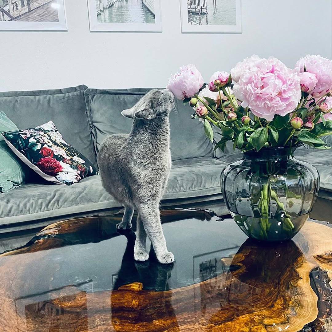 Couchtisch mit dunklem Epoxidharz und Blumendeko